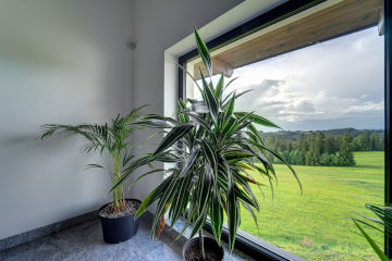 Dom i ogród  | Willa Lux Wolf