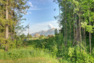 Dom i ogród  | Willa Lux Wolf