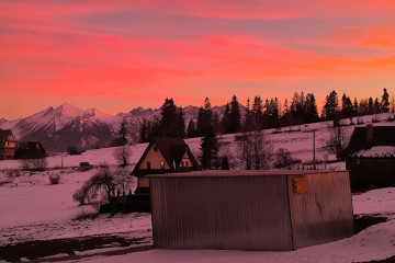 Dom i ogród  | Willa Lux Wolf