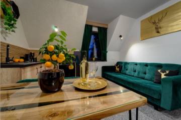 Apartament 2 | Willa Lux Wolf