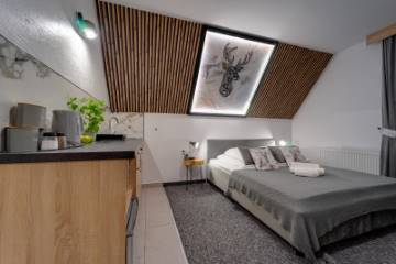 Pokój 3 | Willa Lux Wolf